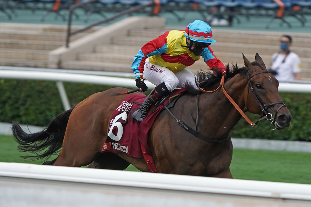 Wellington (No.6), trained by Richard Gibson and ridden by Alexis Badel, wins the Group 1 Chairman’s Sprint Prize at Sha Tin Racecourse today. Computer Patch and Sky Field finish second and third respectively in the HK$18 million event.