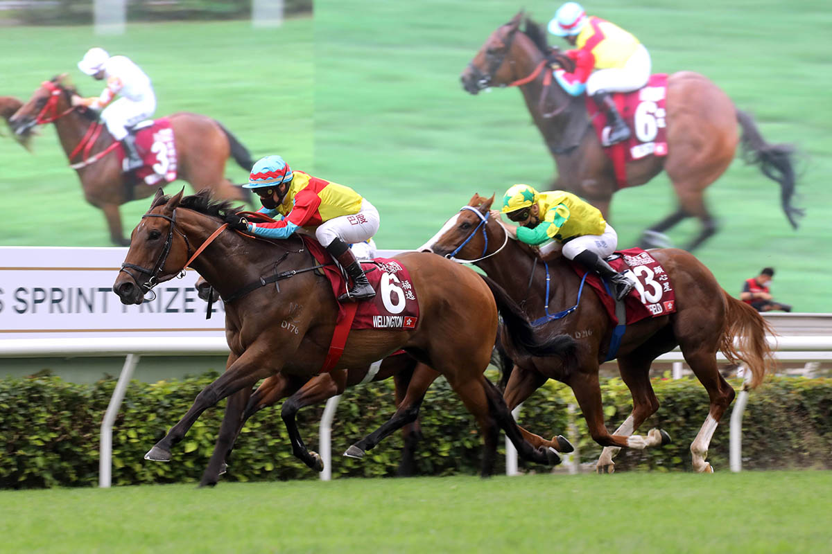 Wellington (No.6), trained by Richard Gibson and ridden by Alexis Badel, wins the Group 1 Chairman’s Sprint Prize at Sha Tin Racecourse today. Computer Patch and Sky Field finish second and third respectively in the HK$18 million event.