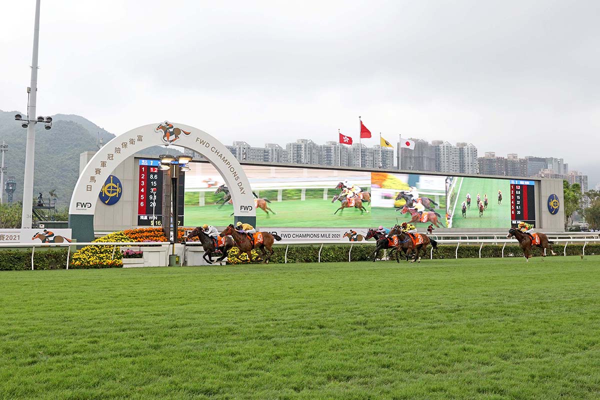 Golden Sixty (No. 1), trained by Francis Lui and ridden by Vincent Ho, wins the Group 1 FWD Champions Mile at Sha Tin Racecourse today. More Than This and Southern Legend finish second and third respectively in the HK$20 million event.