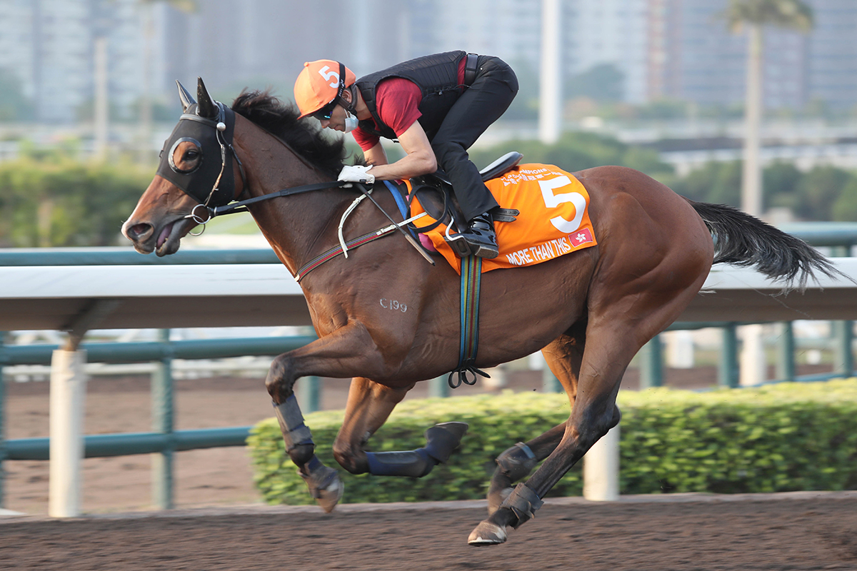 MORE THAN THIS – with Joao Moreira on board