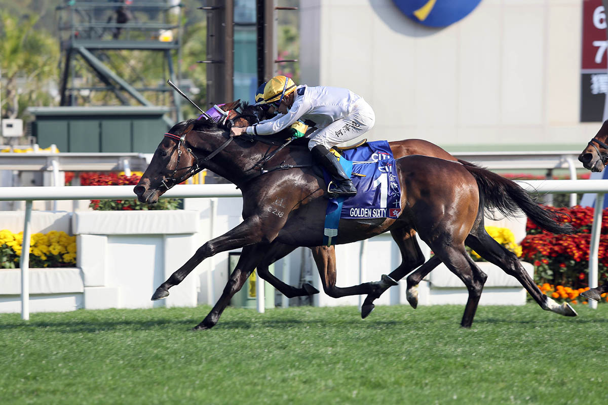 Vincent Ho is looking to guide Golden Sixty to a fourth consecutive G1 triumph.