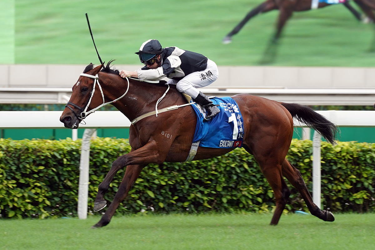 Exultant wins the 2020 Standard Chartered Champions & Chater Cup under Zac Purton.