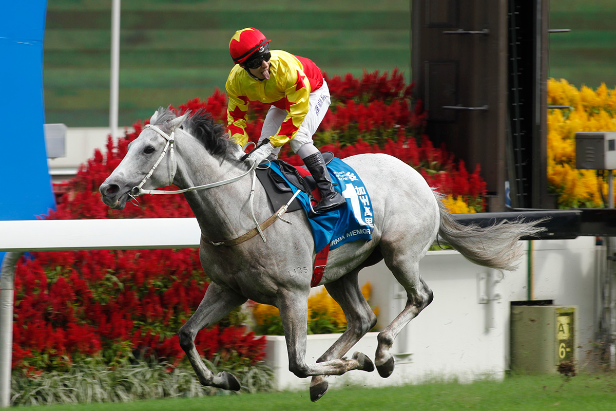 Matthew Chadwick wins the 2013 G1 Standard Chartered Champions & Chater Cup aboard California Memory.