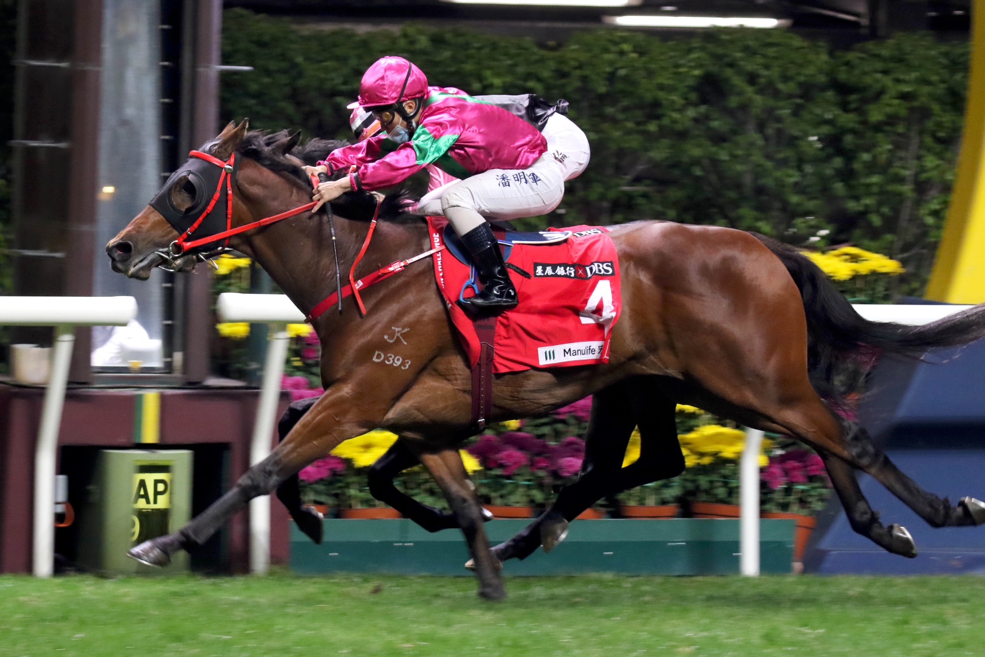 Celestial Power wins at Happy Valley.