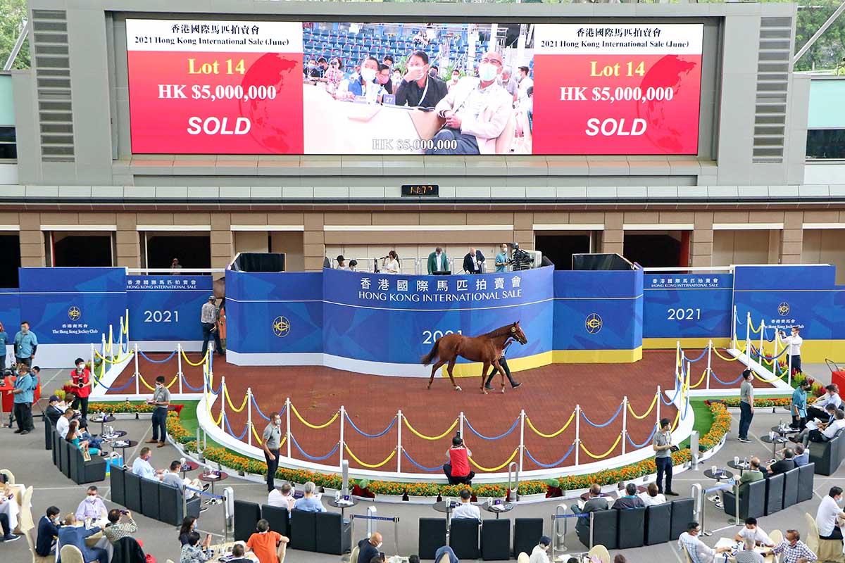 Lot 14 (Sebring ex Fashion) purchased by Harry Tsang Cheung-hin, was knocked down for HK$5 million, the highest purchase price at today’s sale.