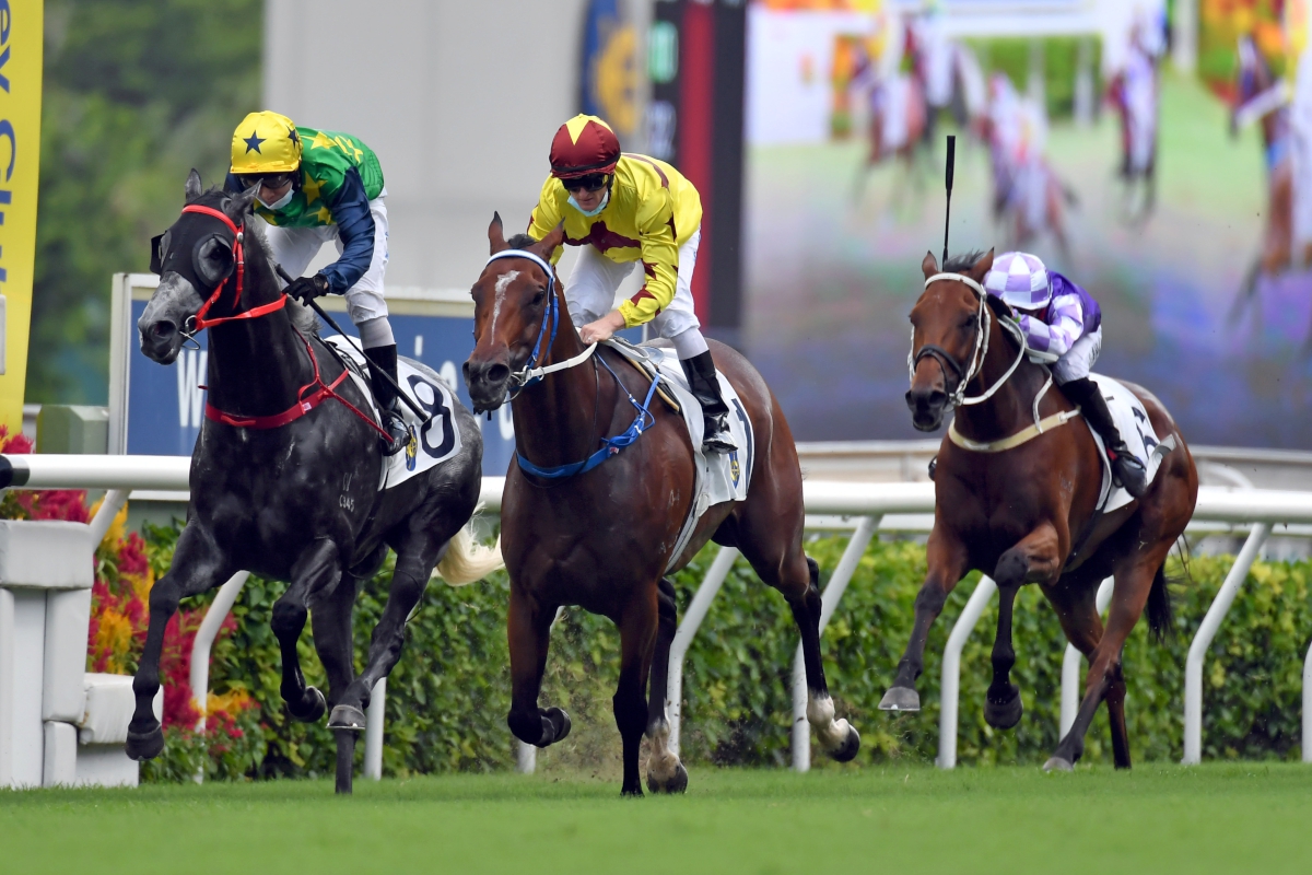 The Caspar Fownes-trained Southern Legend, ridden by Zac Purton, wins the G3 Premier Plate Handicap (1800m) at Sha Tin Racecourse today.