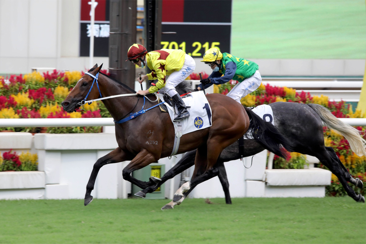 The Caspar Fownes-trained Southern Legend, ridden by Zac Purton, wins the G3 Premier Plate Handicap (1800m) at Sha Tin Racecourse today.