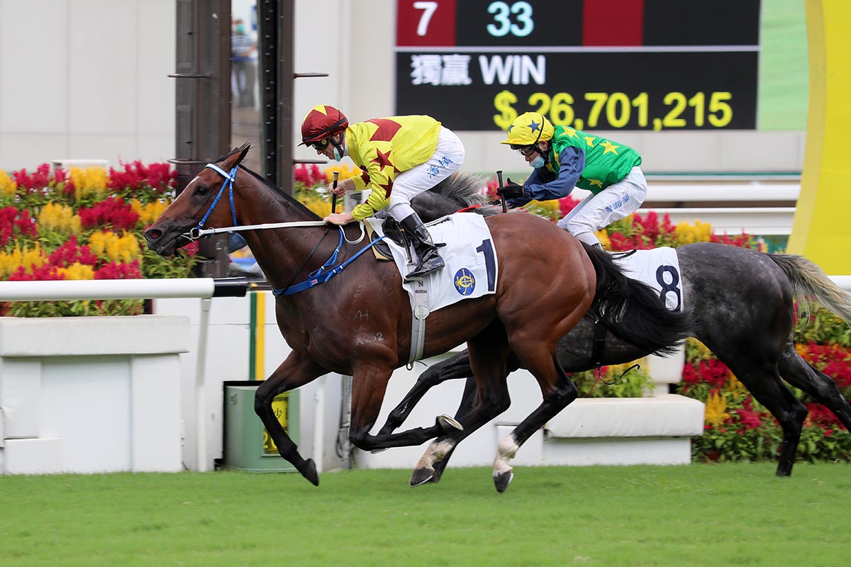 Southern Legend’s G3 triumph was a highlight for Fownes.