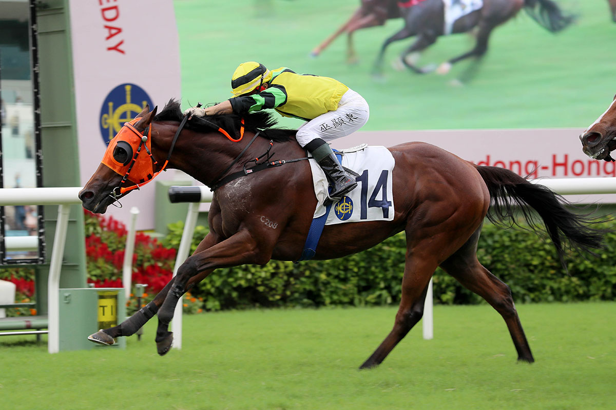 The Me Tsui-trained Dragon Commander, ridden by Dylan Mo, takes The Guangdong-Hong Kong Cup at Sha Tin Racecourse today.