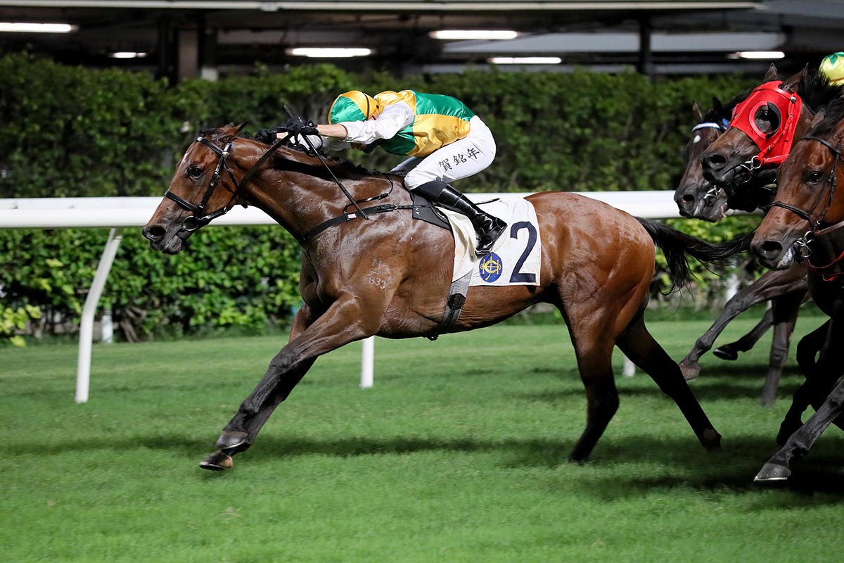 Sparkling Dragon has earned in excess of HK$6 million for connections in Hong Kong.