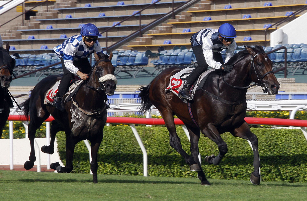Panfield (right) cruises to trial victory at Sha Tin.
