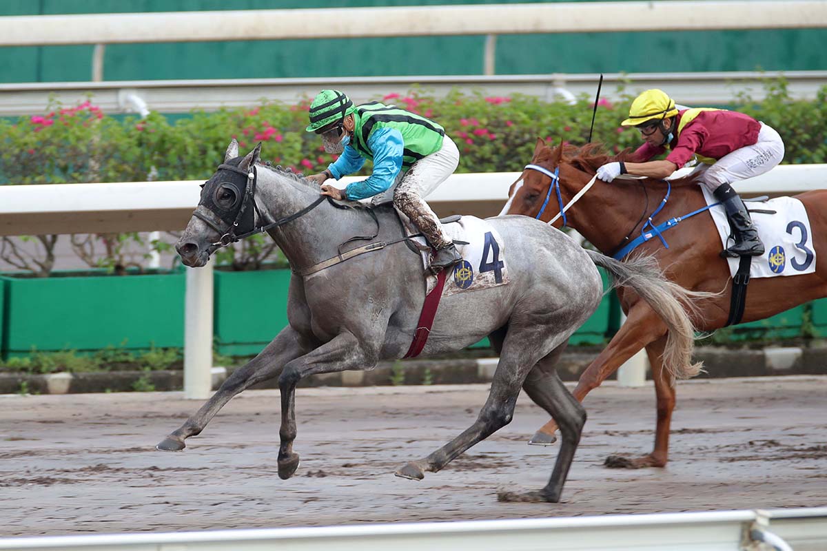 Silver Fig surges clear for Matthew Poon.