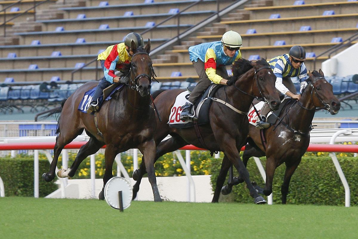 Fantastic Treasure (middle) hits the line under Chad Schofield.