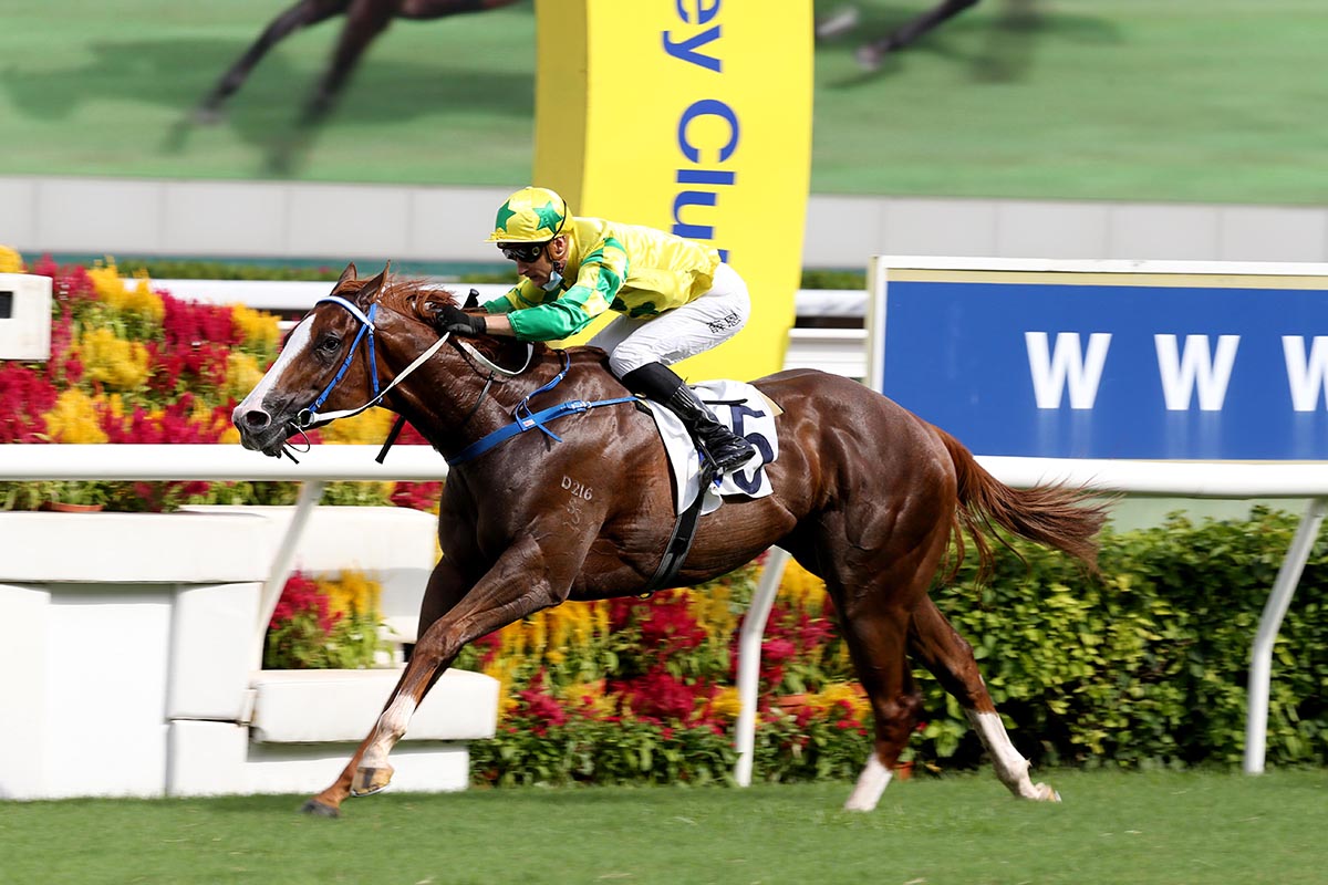 Sky Field is a five-time winner from 17 starts in Hong Kong.
