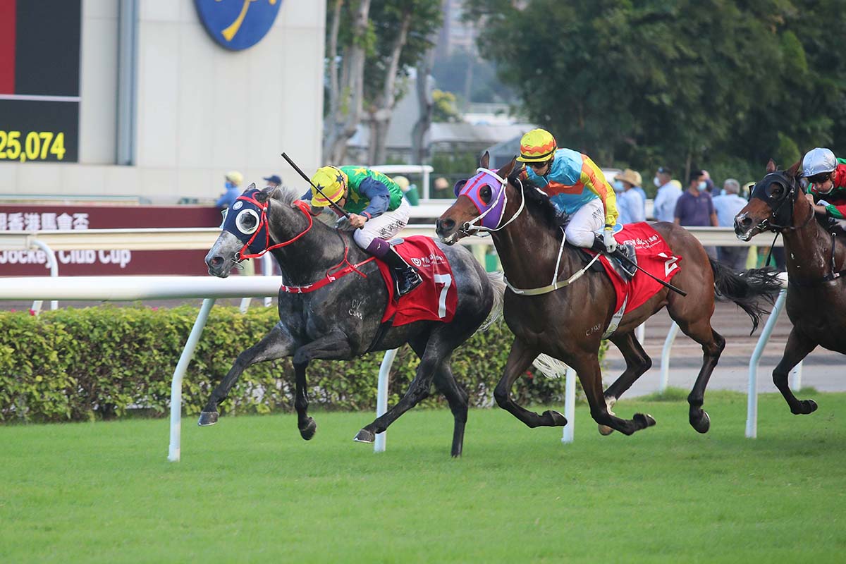 The Frankie Lor-trained Reliable Team, ridden by Derek Leung, wins the BOCHK Jockey Club Cup at Sha Tin Racecourse today.
