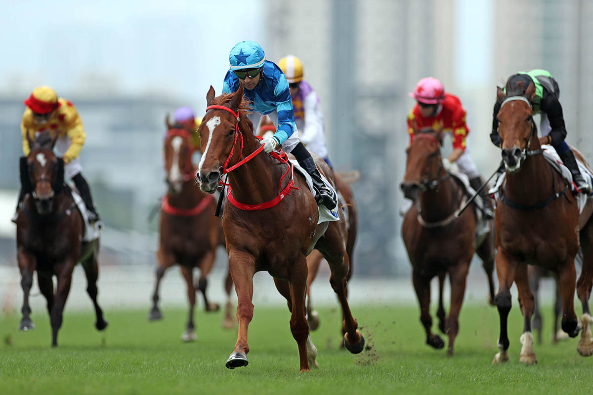 Master Eight is looking to maintain an unblemished record in Hong Kong.