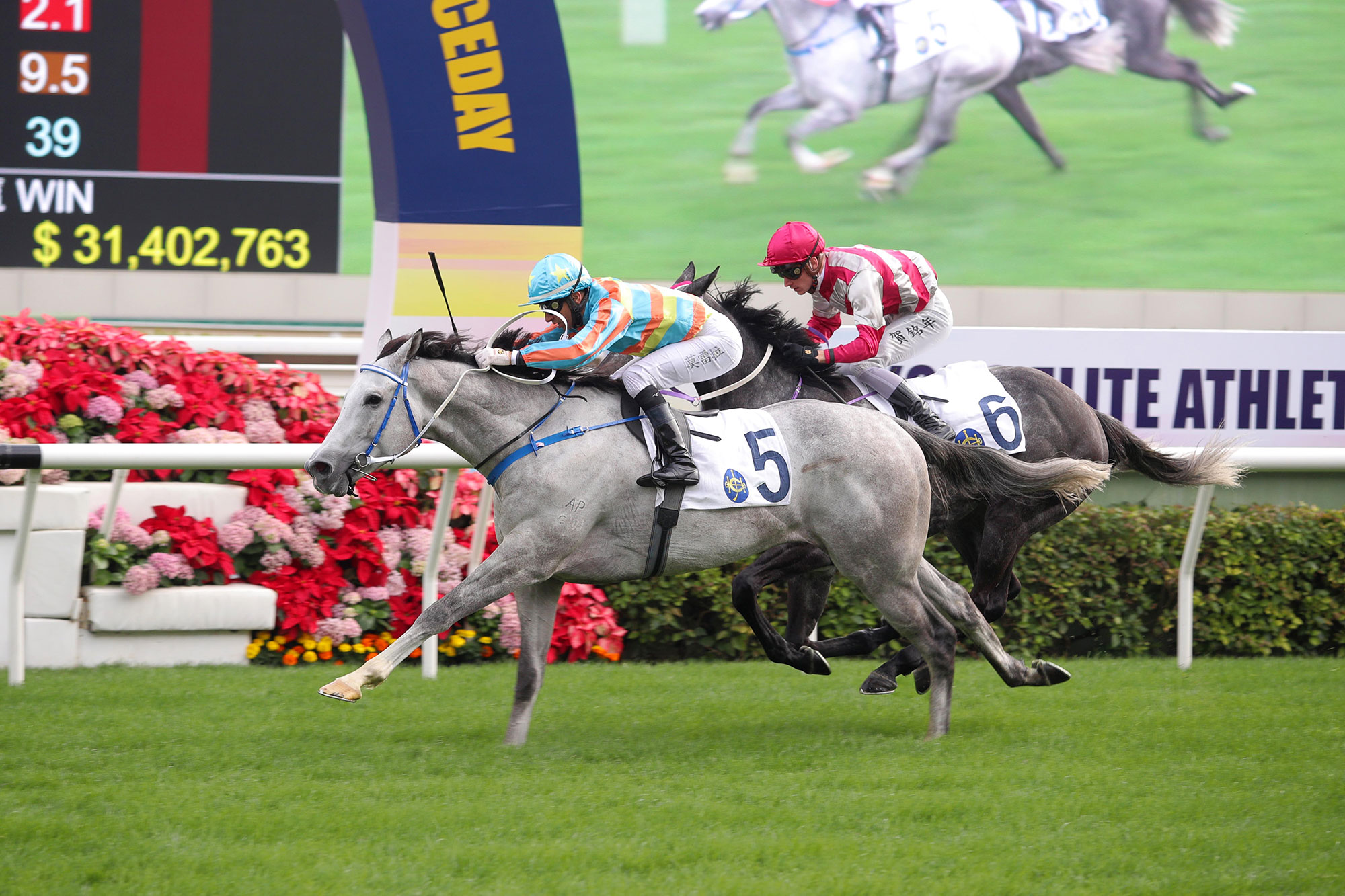Senor Toba charges into BMW Hong Kong Derby calculations.