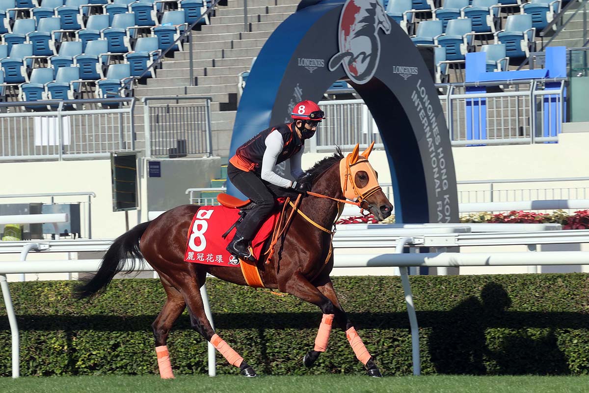 LONGINES Hong Kong International Races Wednesday Trackwork Photo