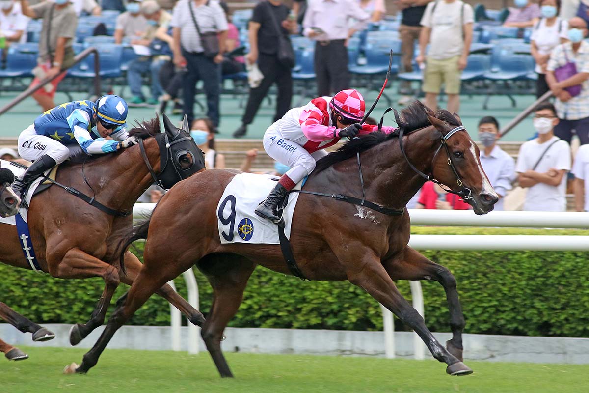 Super Wealthy is a five-time winner from 16 starts in Hong Kong.