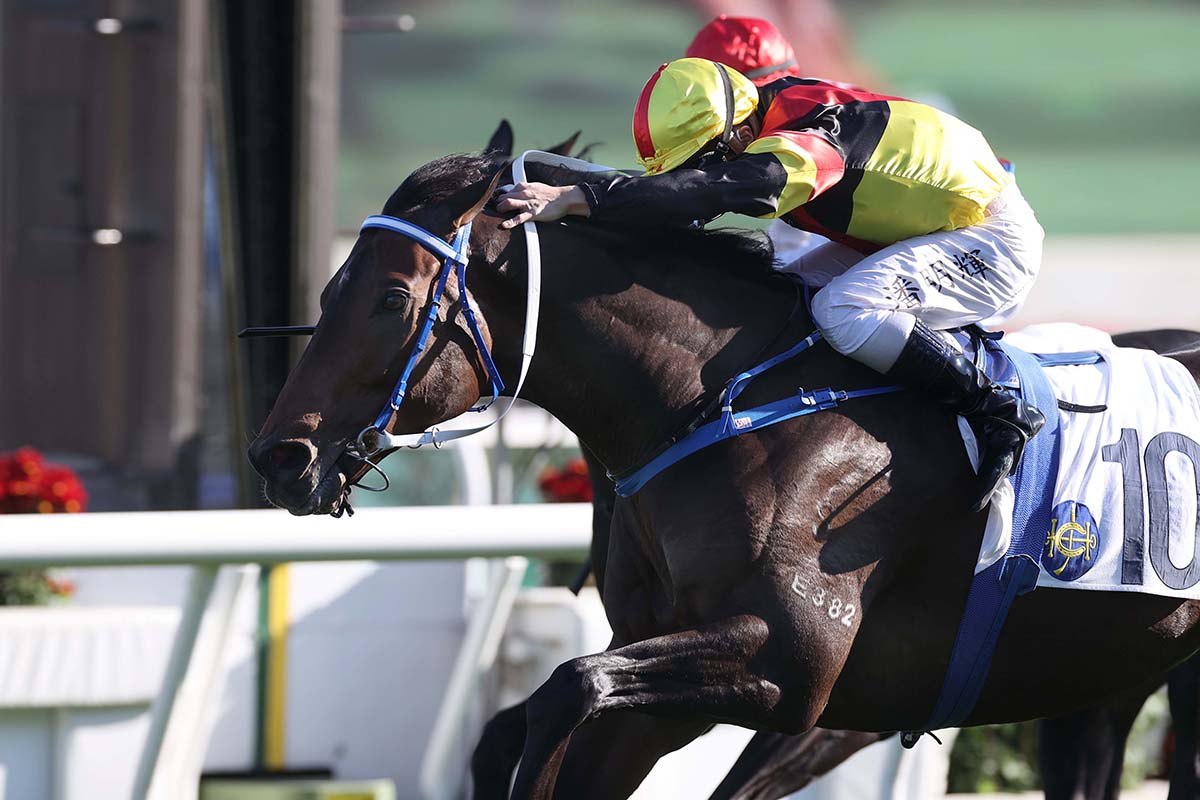 Zebrowski is now a three-time winner in Hong Kong.