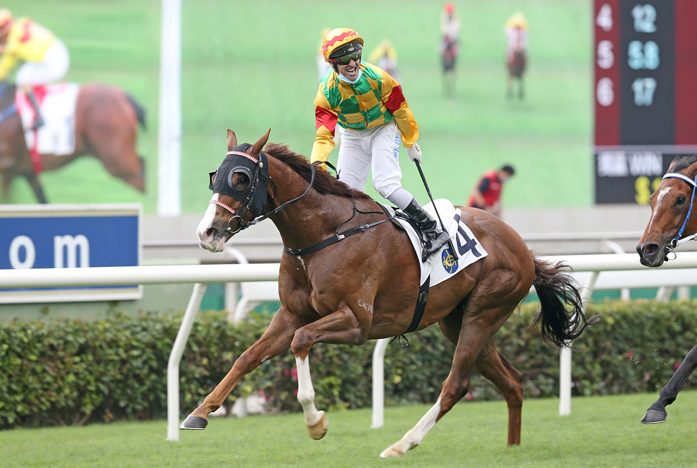 Mighty Giant is a seven-time winner in Hong Kong.