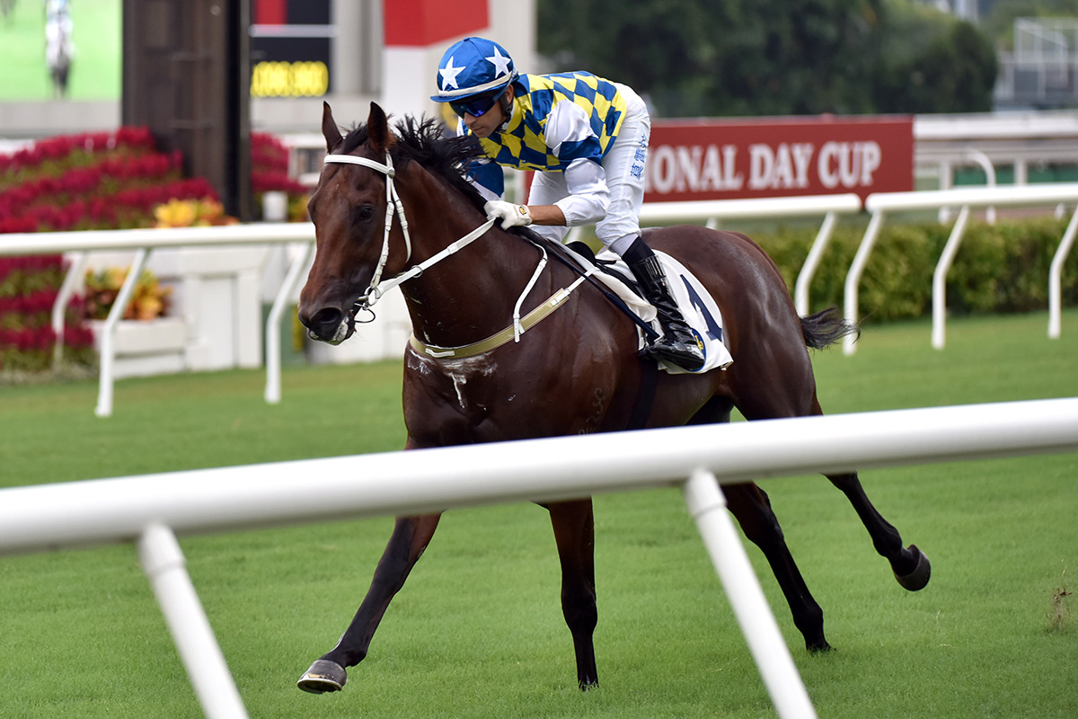 Computer Patch wins the 2020 G3 National Day Cup Handicap (1000m).