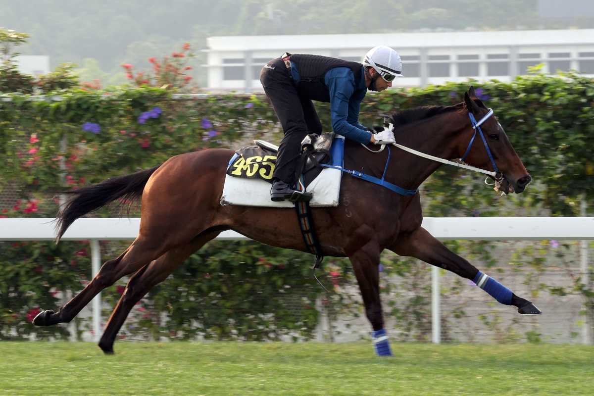 COLUMBUS COUNTY – with Joao Moreira on board