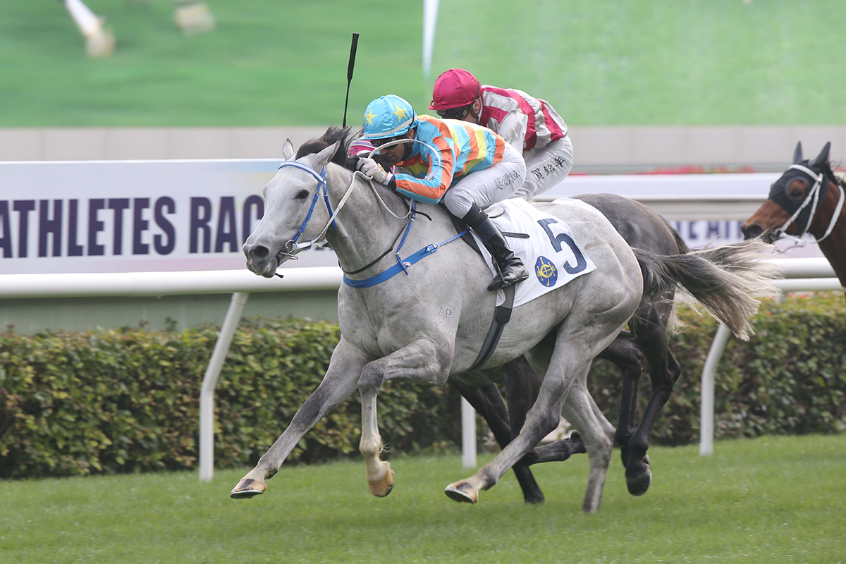 Senor Toba returns after running fourth in the BMW Hong Kong Derby.
