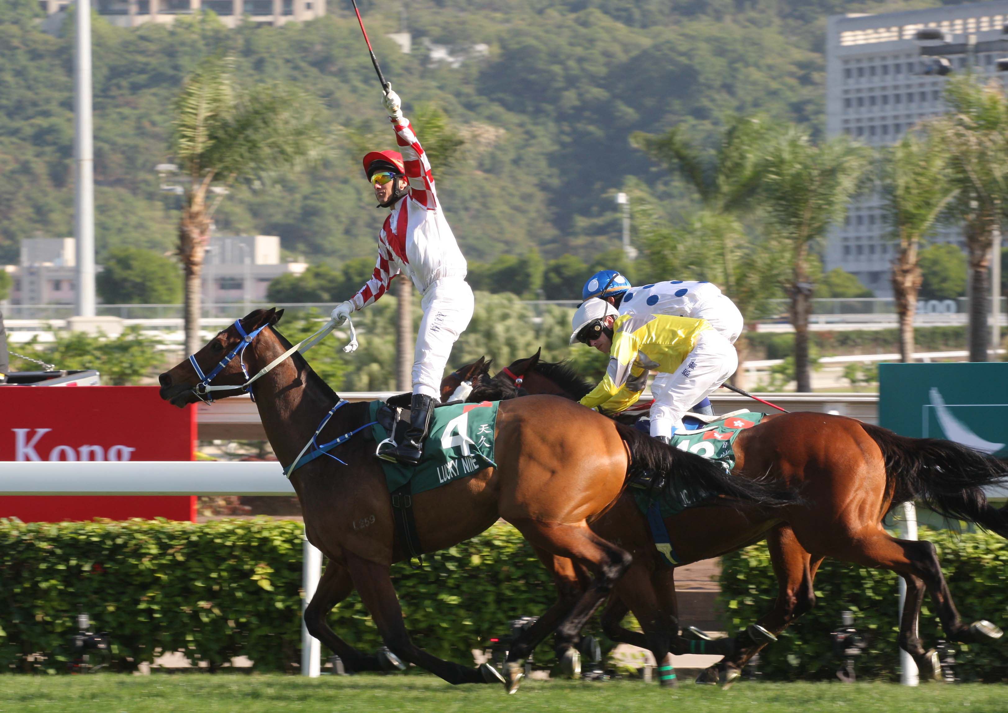Lucky Nine was one of Hong Kong’s finest sprinters in recent times.