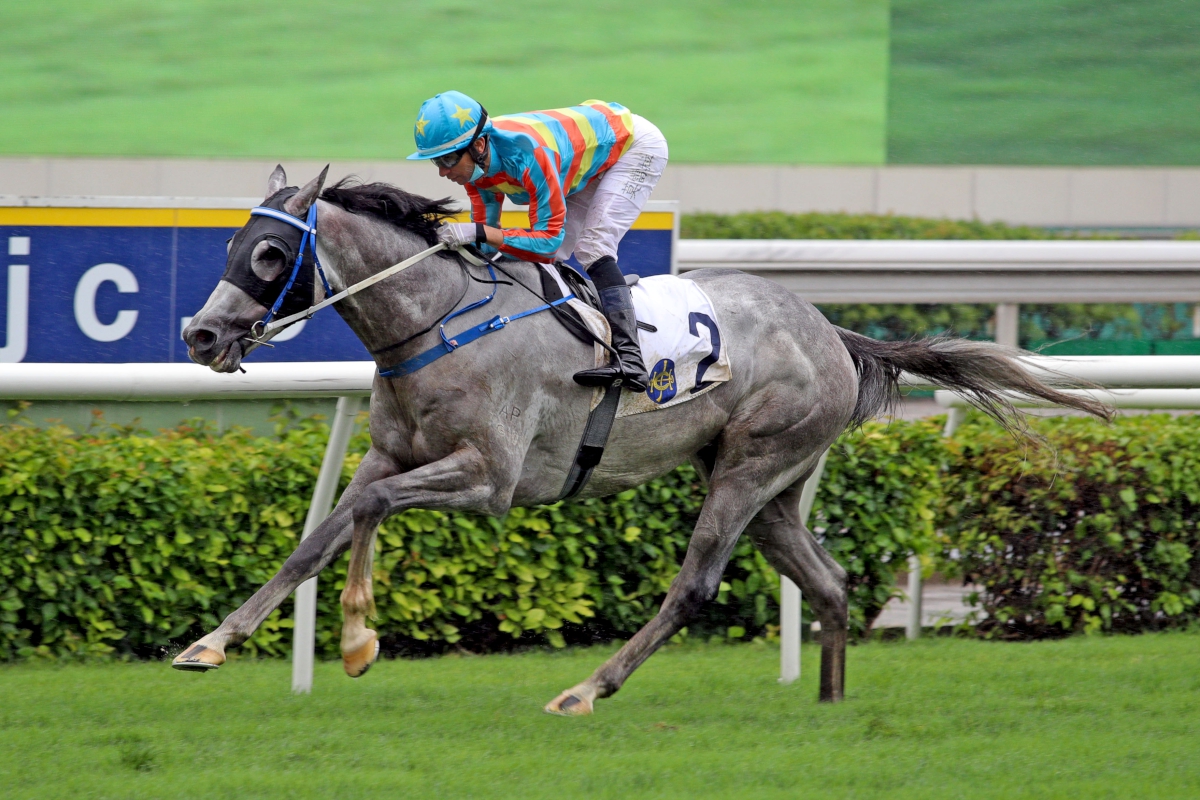 Senor Toba, trained by Caspar Fownes and ridden by Joao Moreira, wins the G3 Queen Mother Memorial Cup Handicap (2400m) at Sha Tin Racecourse today.