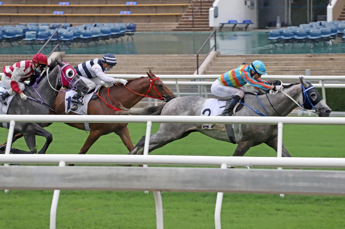 Senor Toba, trained by Caspar Fownes and ridden by Joao Moreira, wins the G3 Queen Mother Memorial Cup Handicap (2400m) at Sha Tin Racecourse today.
