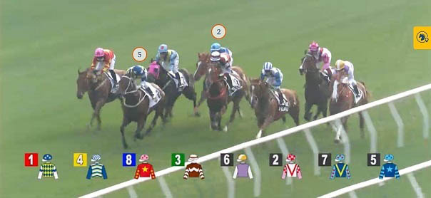 Powered by AI technology, “Find My Horse” can track the position of chosen horses during the livestream of local races.