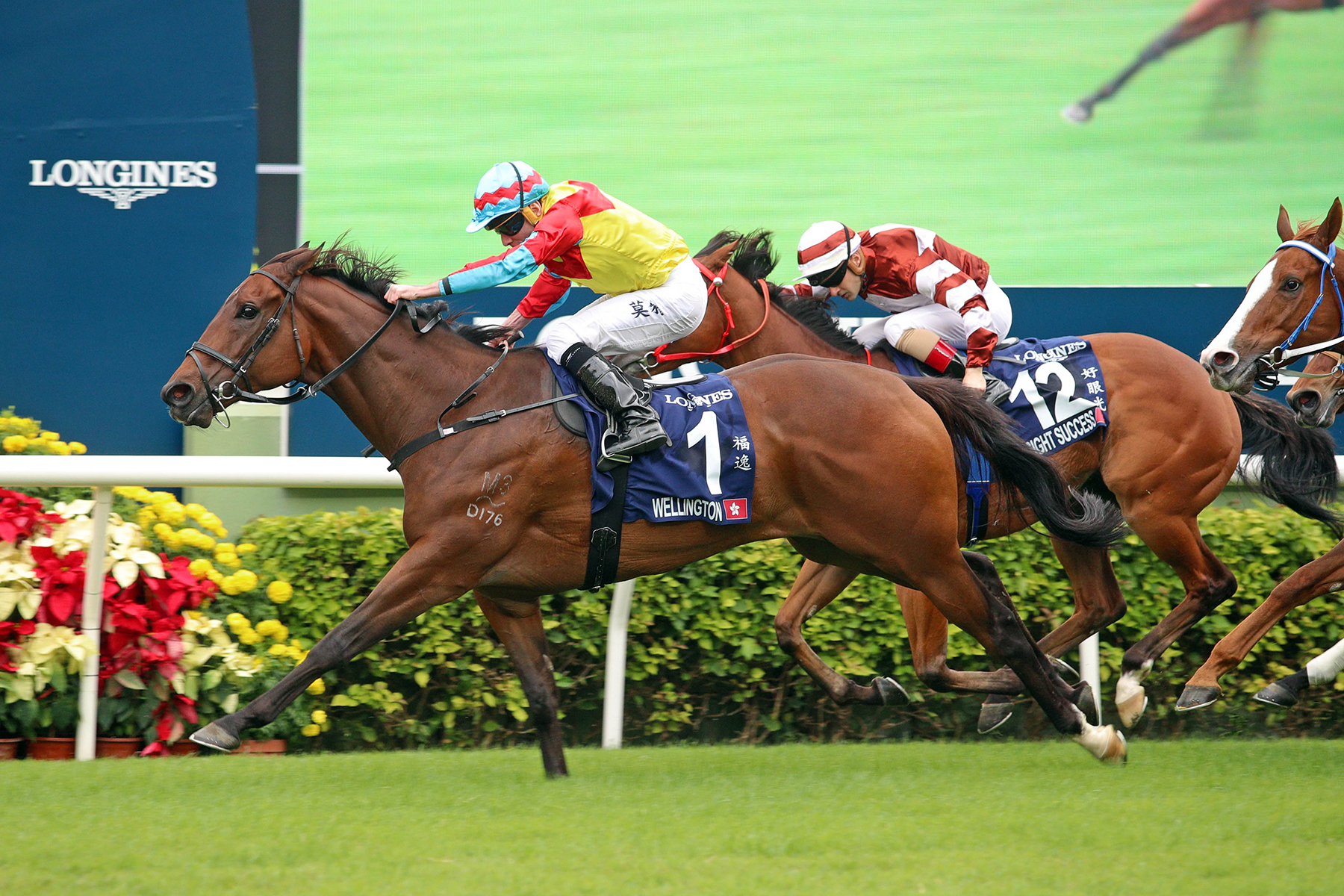 The LONGINES Hong Kong Sprint Photo Release – Racing News – The 