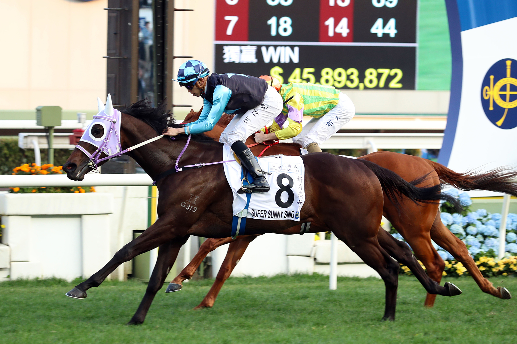 The Chris So-trained Super Sunny Sing (No. 8), ridden by Vincent Ho, takes the Hong Kong Classic Cup (1800m) at Sha Tin Racecourse today (Sunday, 26 February).