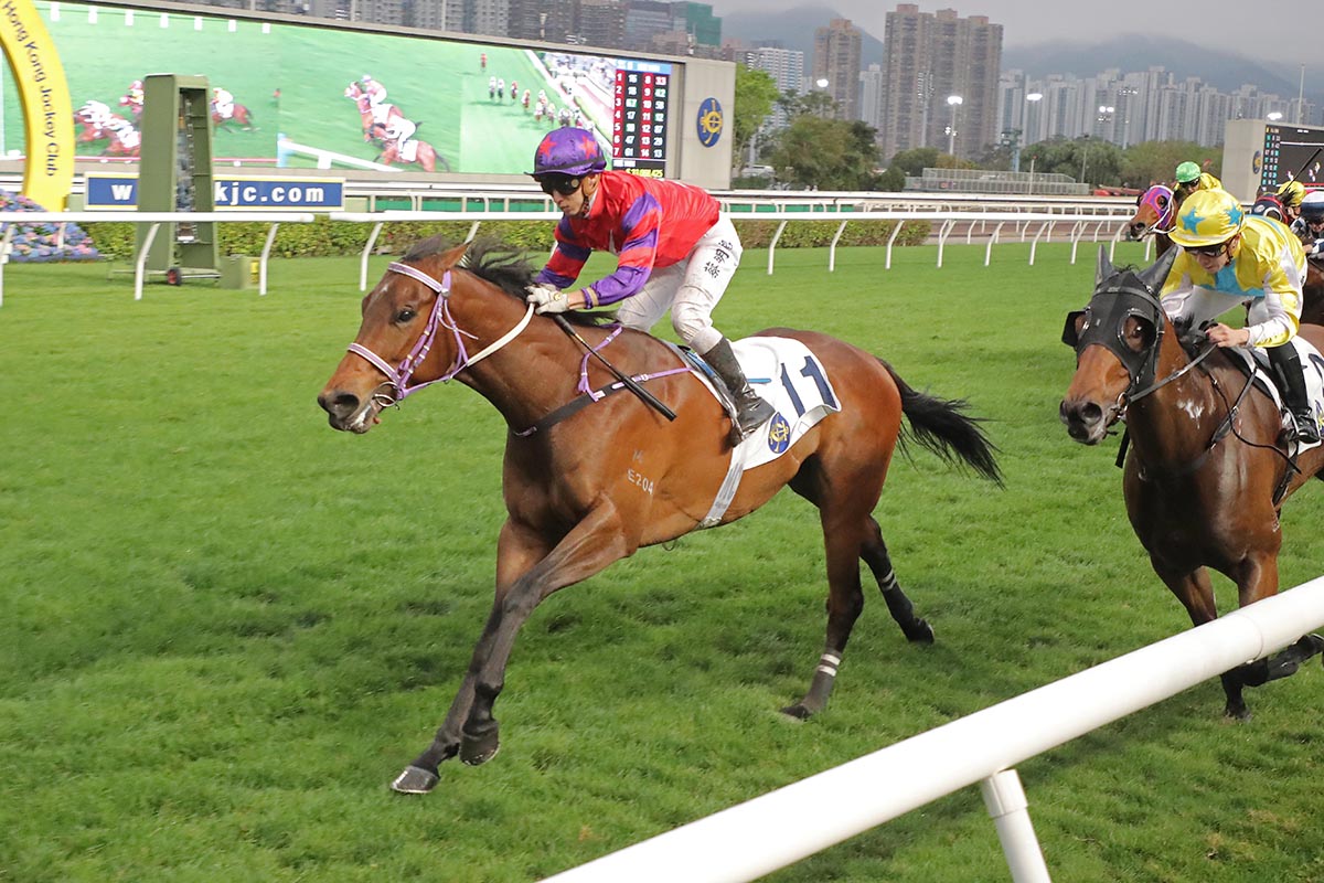 Flying High is building a potent 1000m record at Sha Tin.