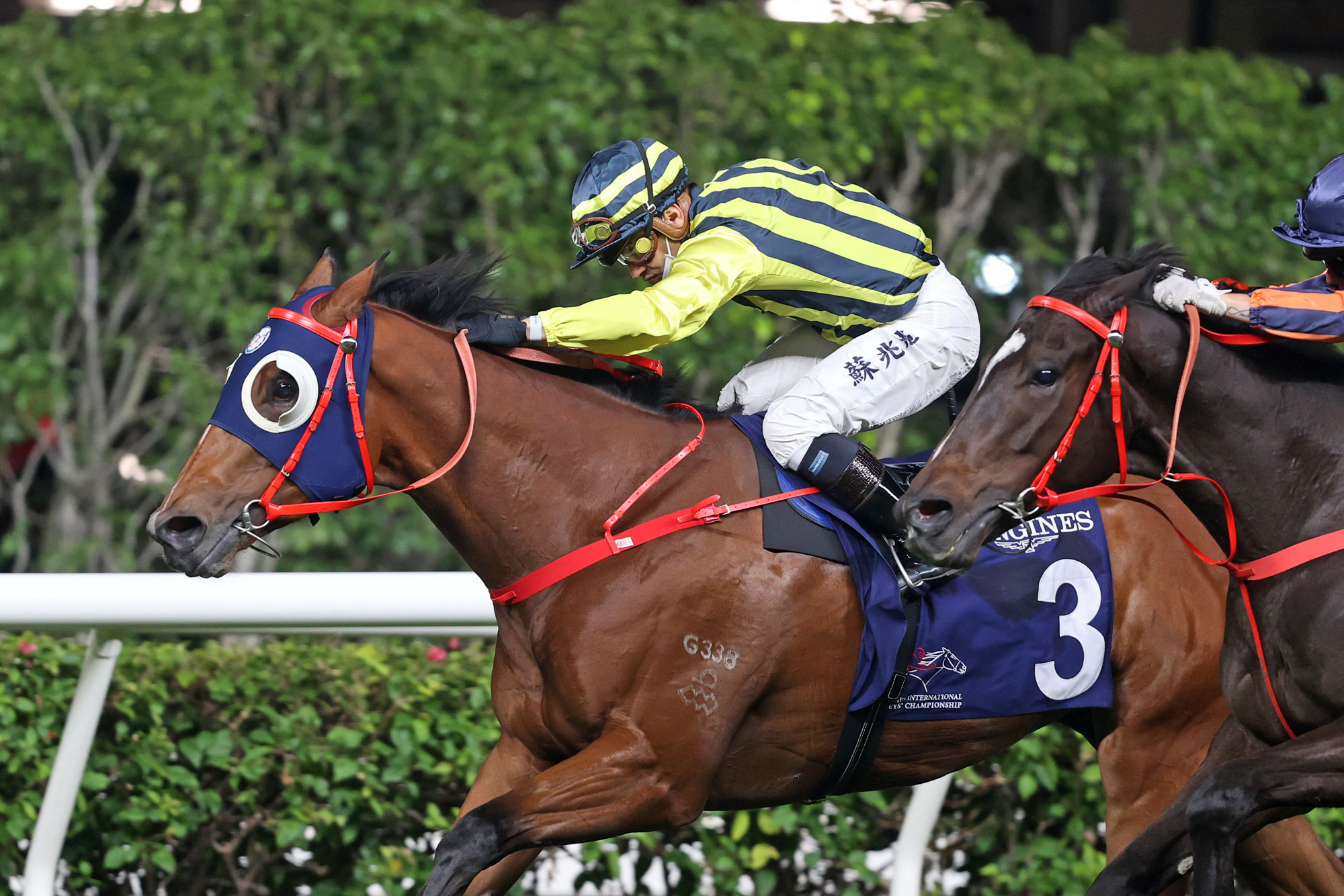 Adios is a two-time winner in Hong Kong.