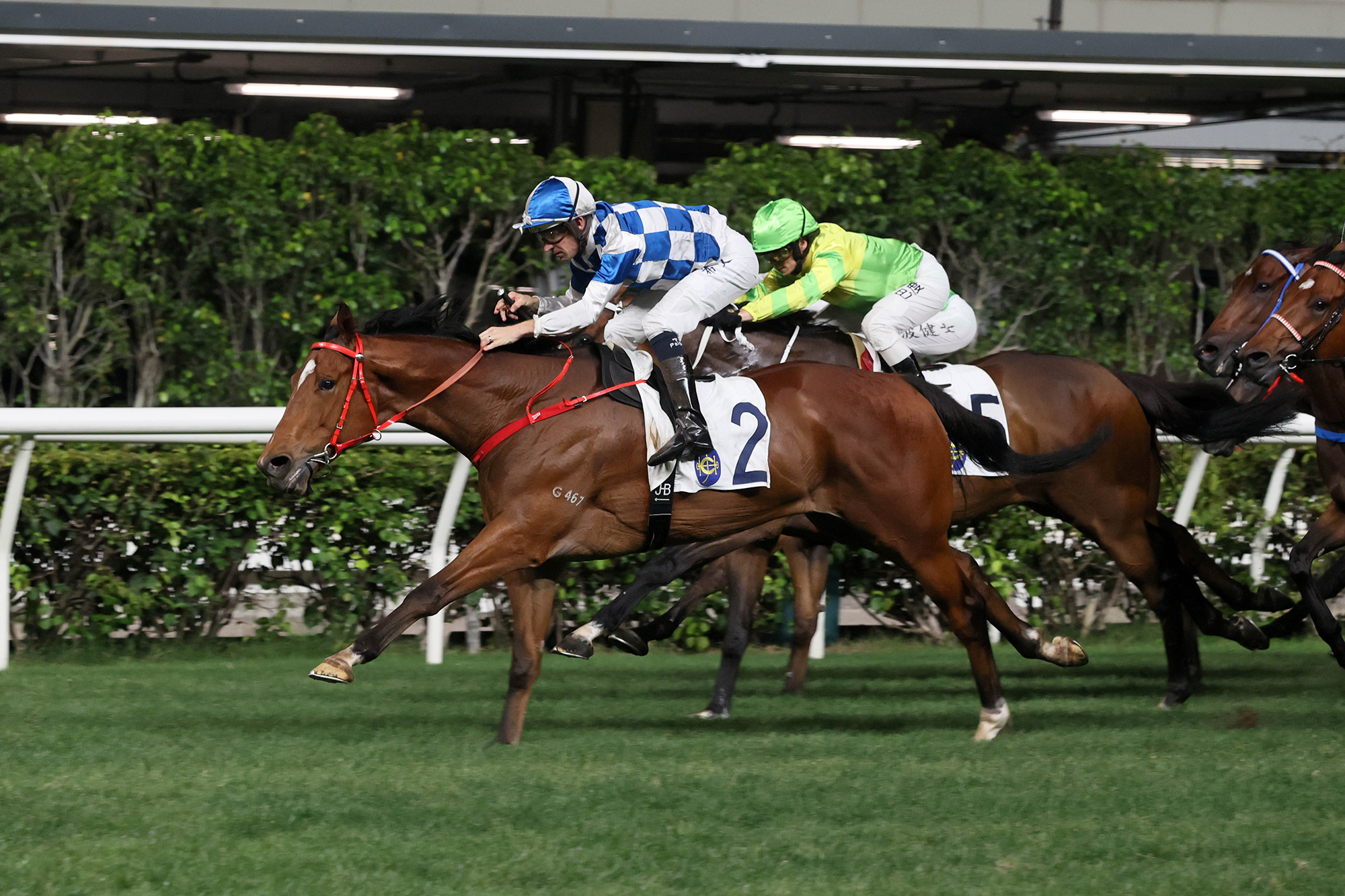 Nordic Dragon is searching for his first Sha Tin success.
