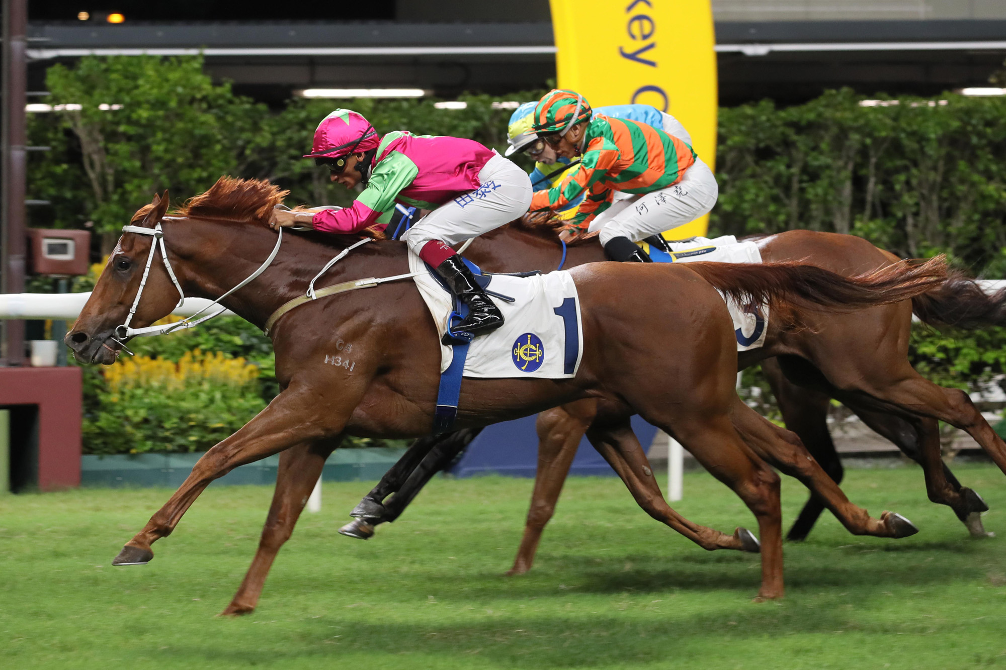 Street Conqueror (No. 1), trained by Tony Cruz and ridden by Karis Teetan, takes the Class 4 International Conference Of Racing Analysts And Veterinarians Cup Handicap (1200 m). 