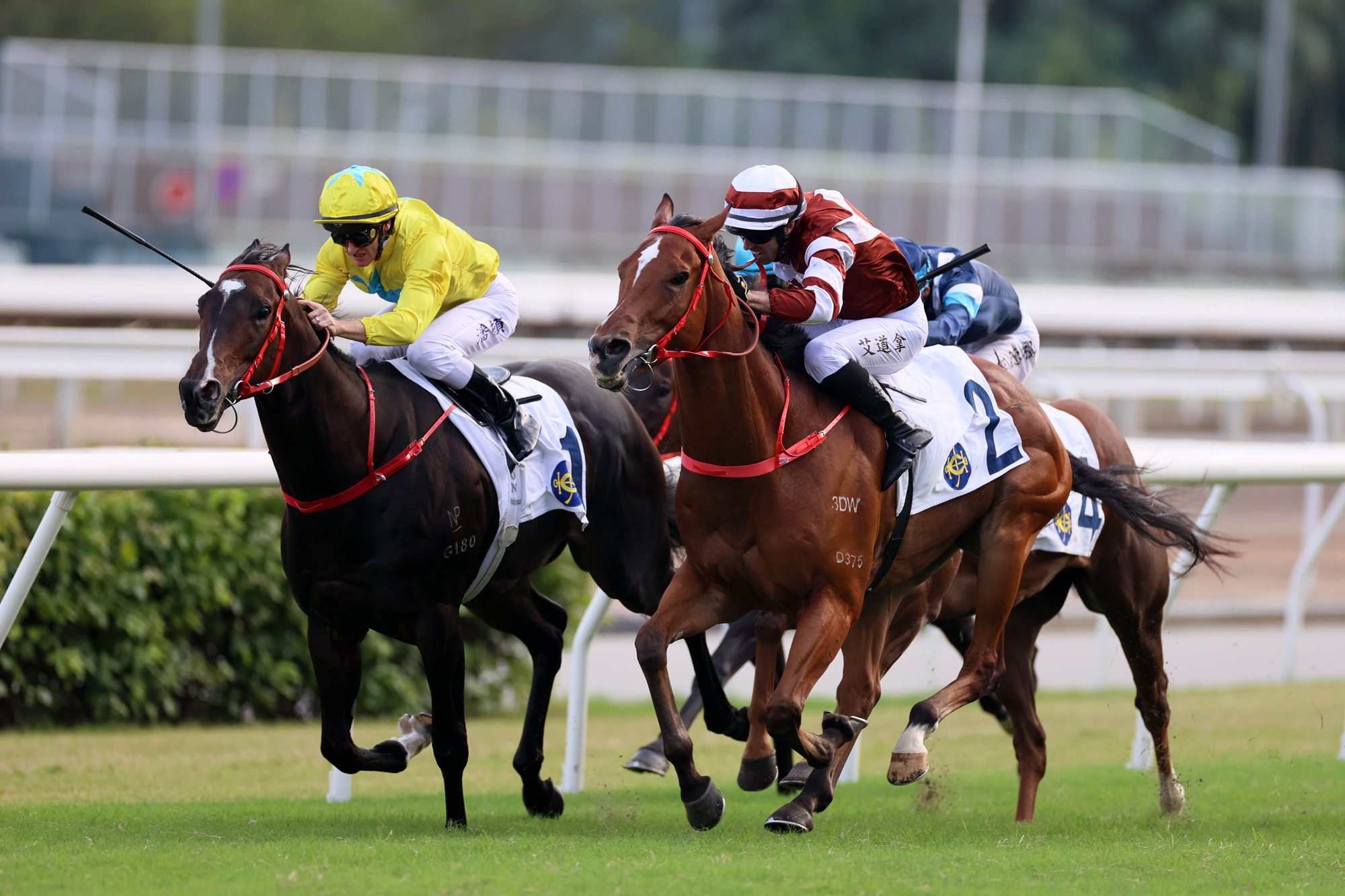 The Premier Bowl Photo Release – Racing News – The Hong Kong Jockey Club