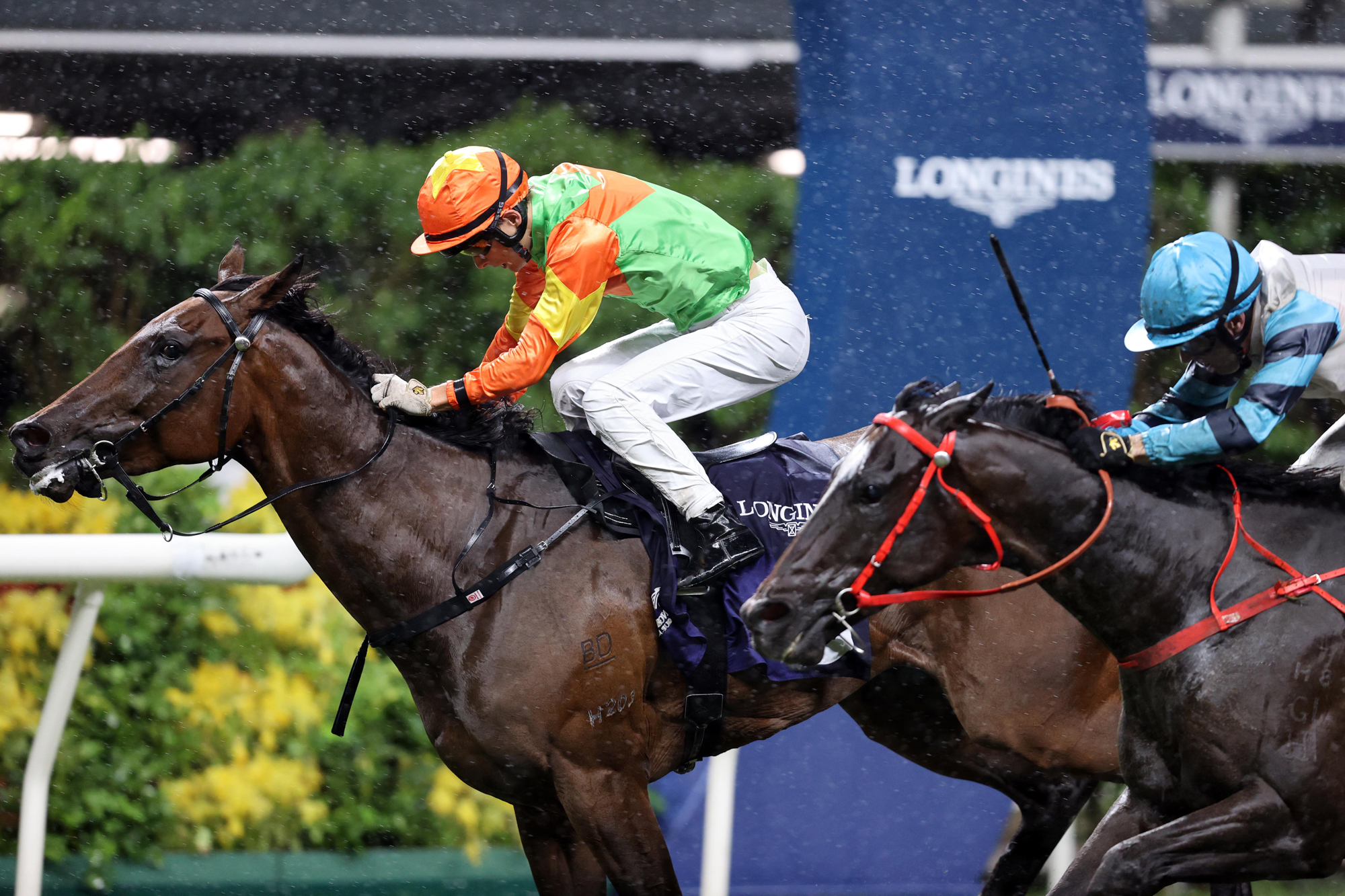 The LONGINES Cup Photo Release Racing News The Hong Kong