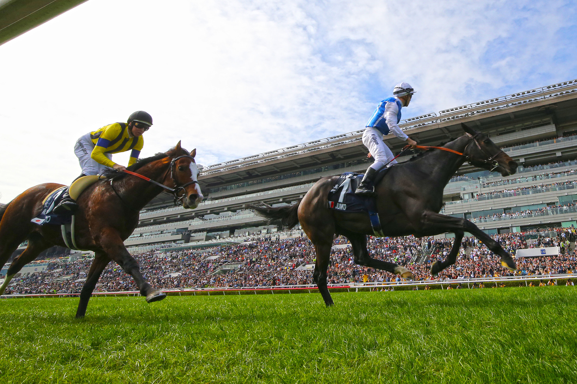 The LONGINES Hong Kong Vase Photo Release Racing News The Hong