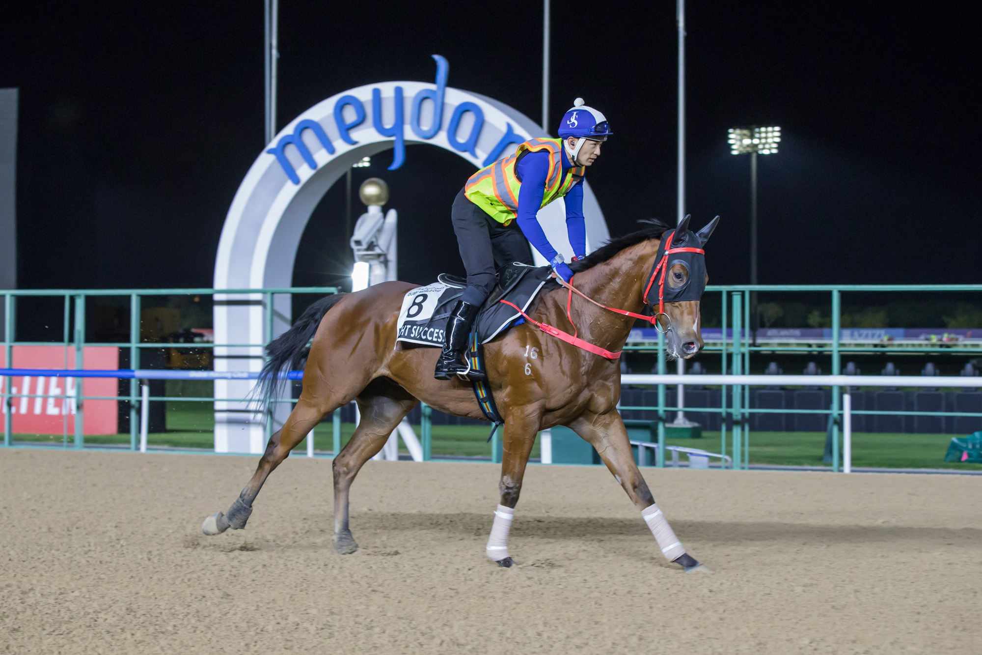 Sight Success goes through his paces at Meydan Racecourse.