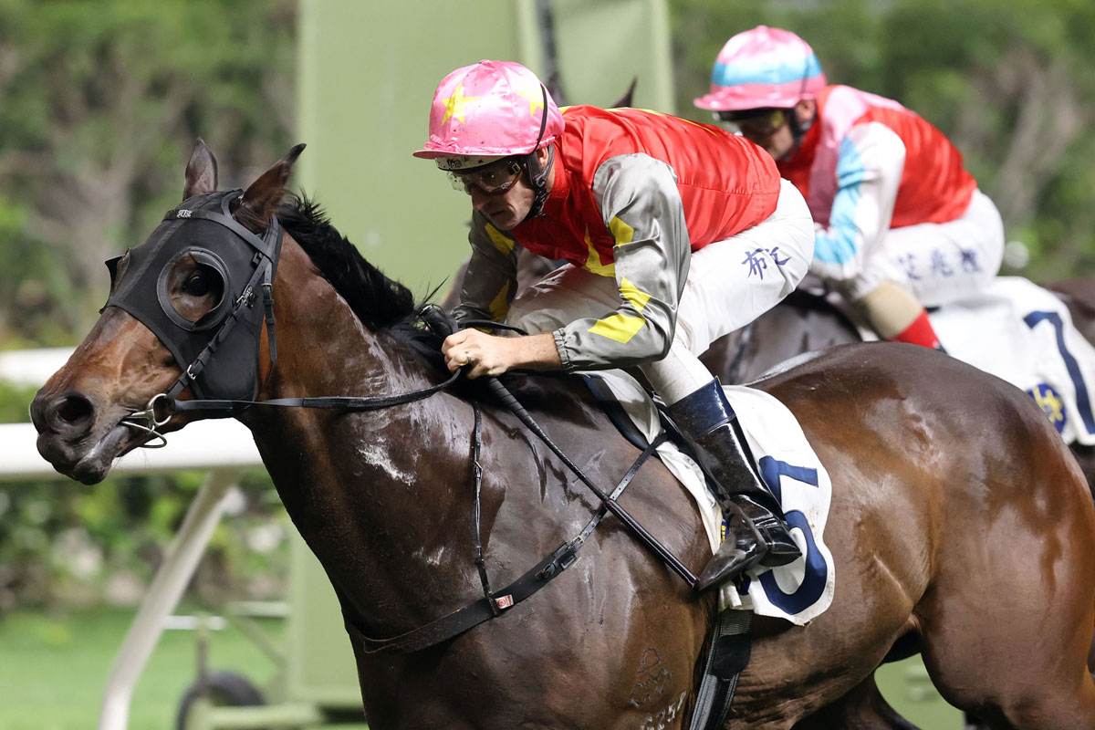 Majestic Knight provides Douglas Whyte with another Hong Kong milestone.