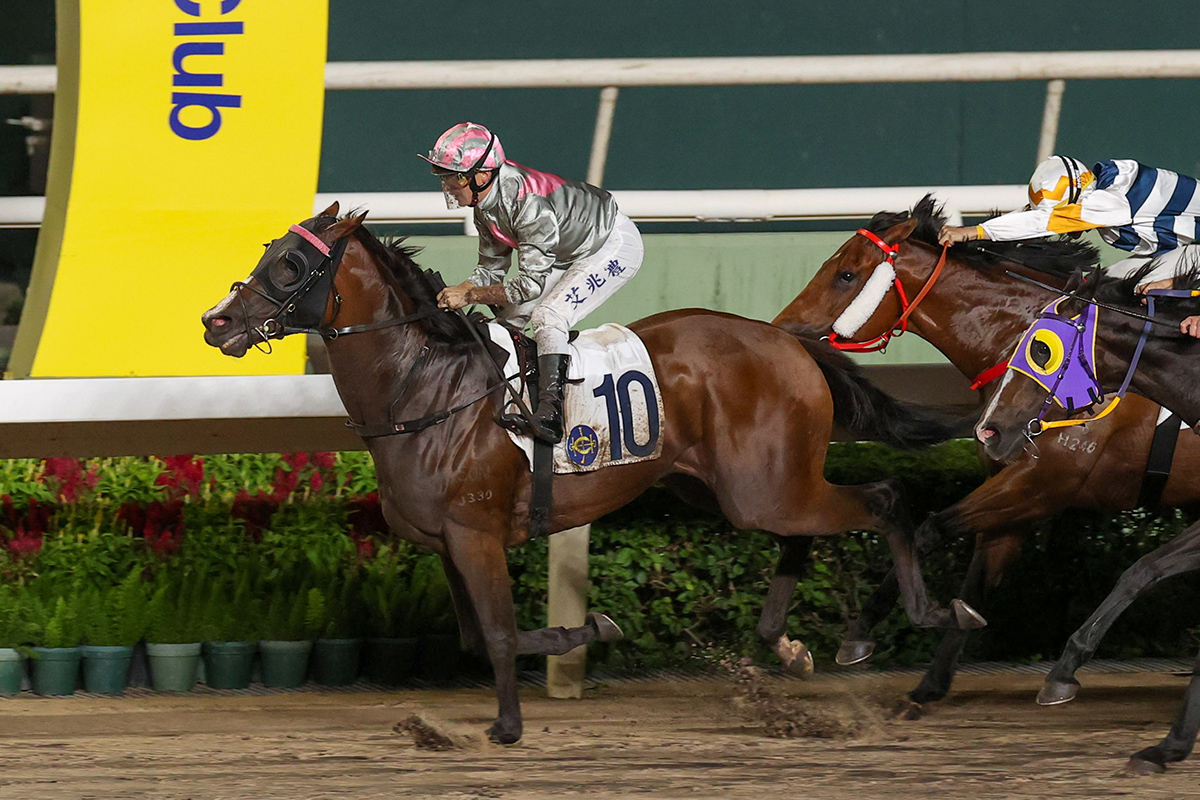 Croix du Nord's star quality on show in Hopeful Stakes win