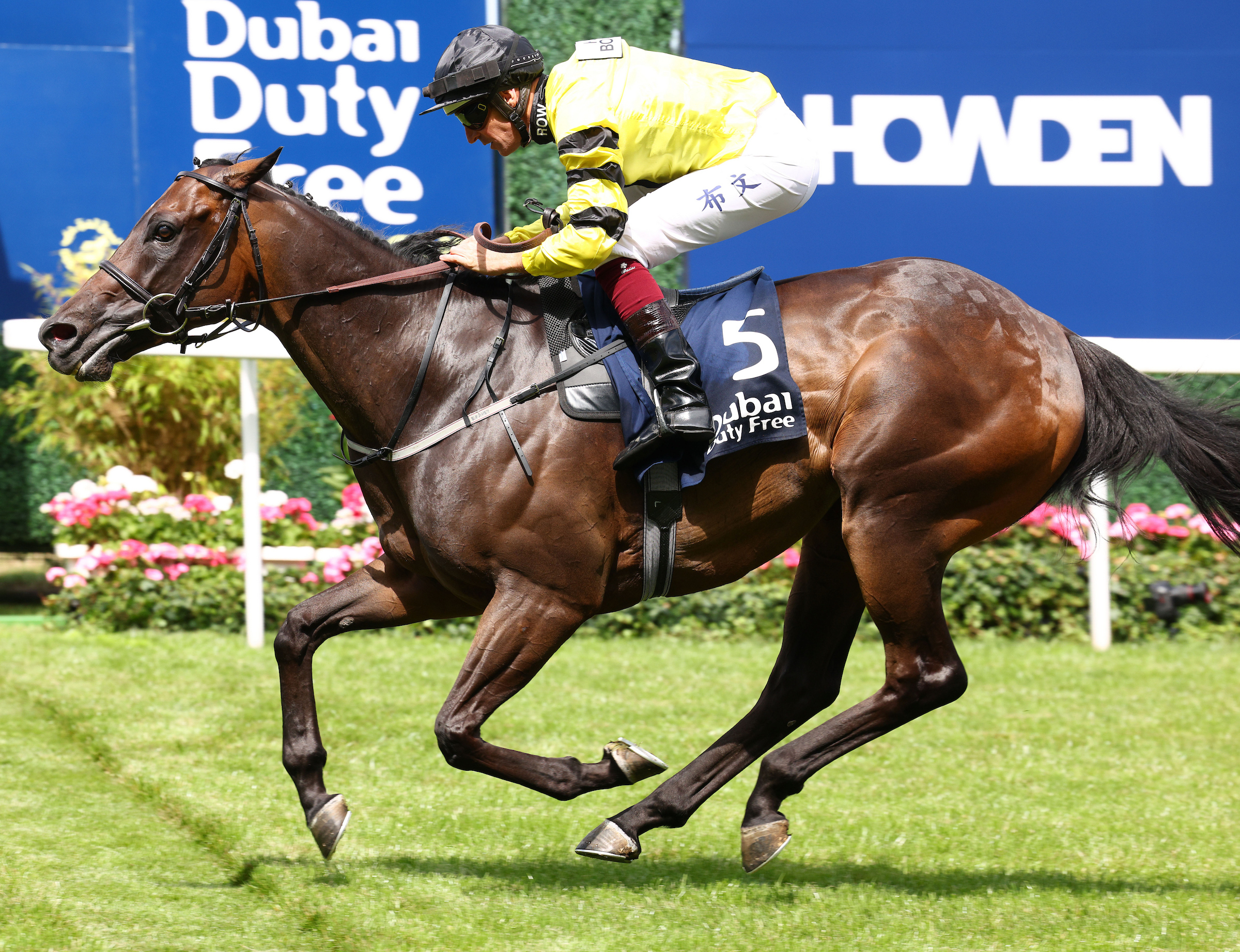 Hugh Bowman wins the Dubai Duty Free Shergar Cup Dash (1000m) with Vintage Clarets.
