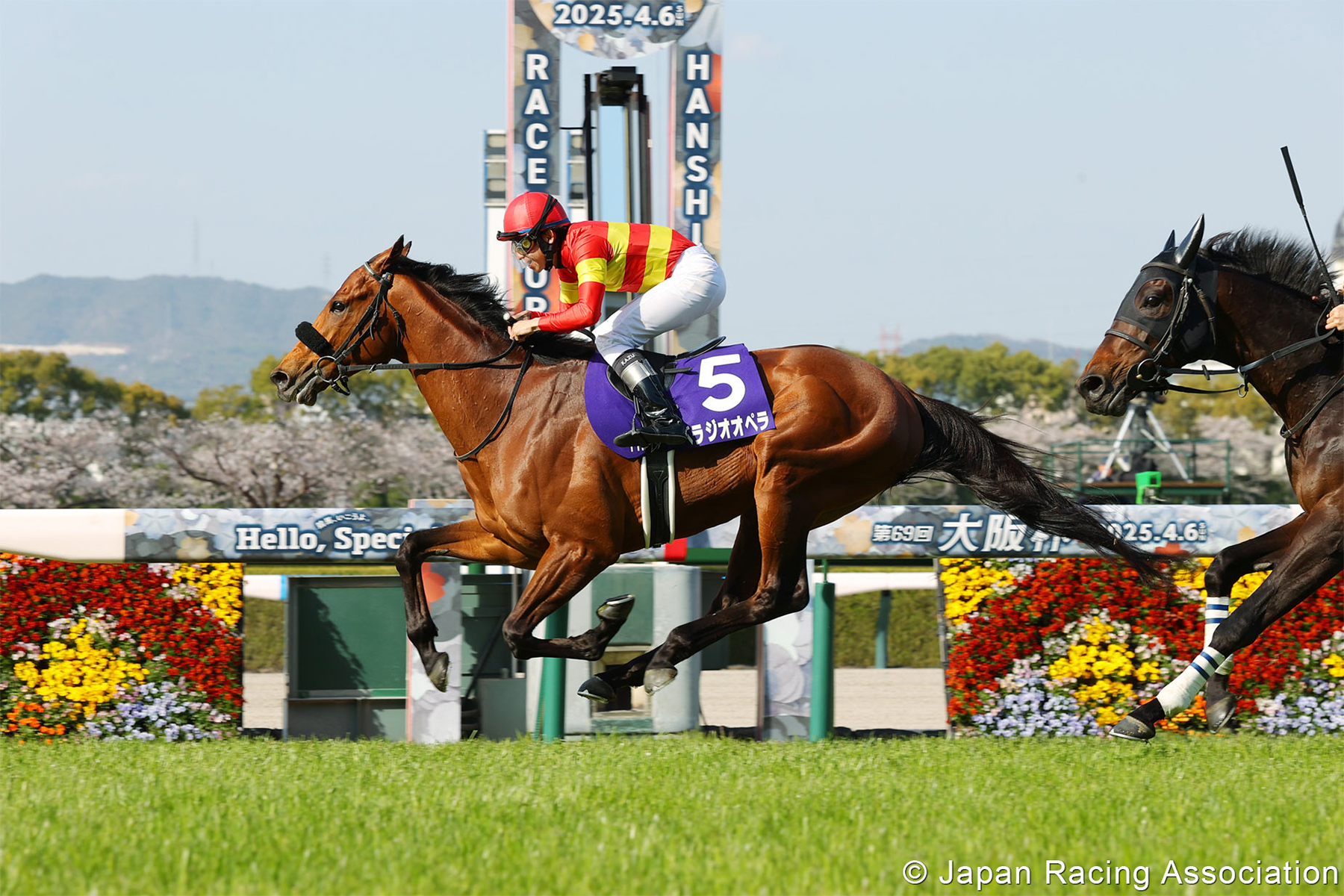 BELLAGIO OPERA BELLAGIO OPERA