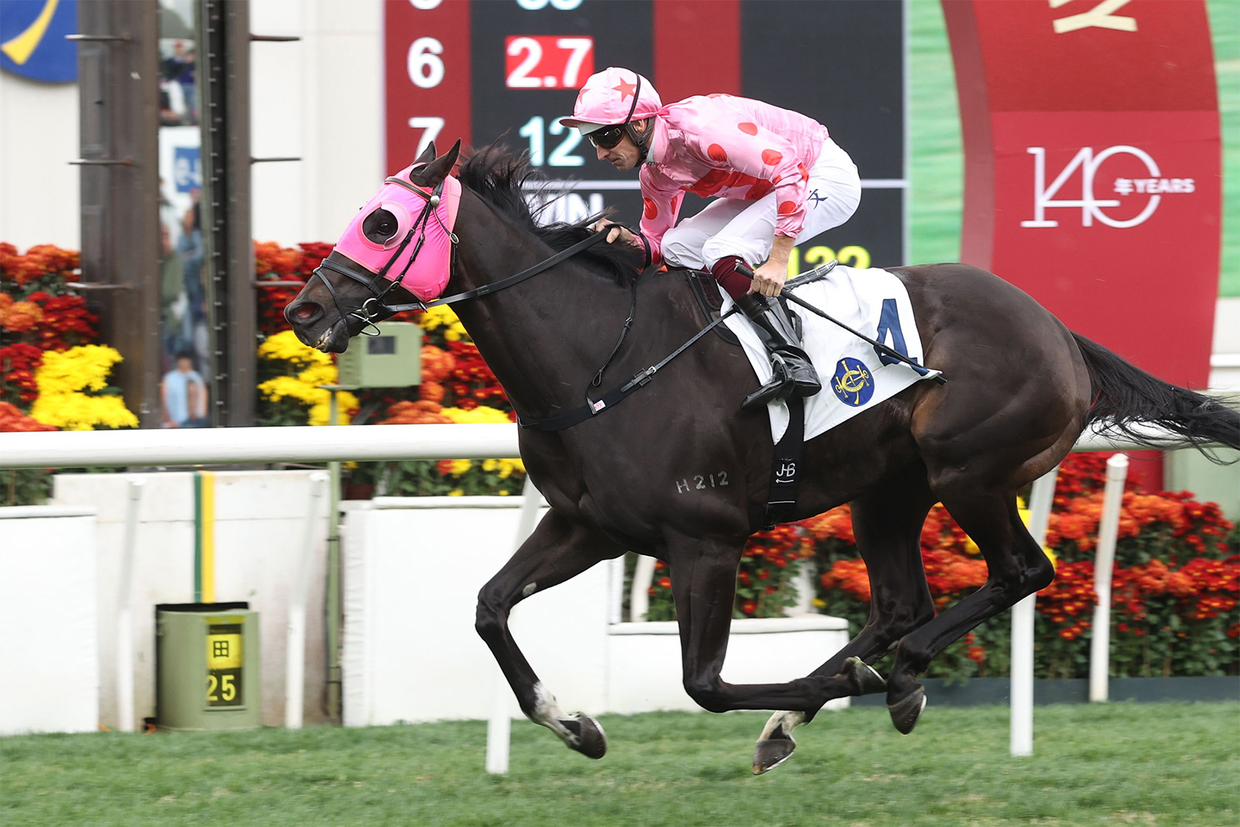 CHANCHENG GLORY CHANCHENG GLORY