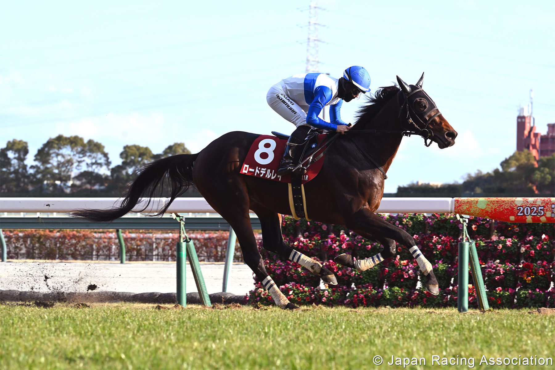 LORD DEL REY LORD DEL REY