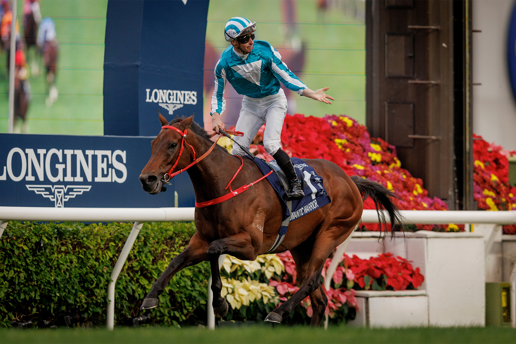 ROMANTIC WARRIOR ROMANTIC WARRIOR