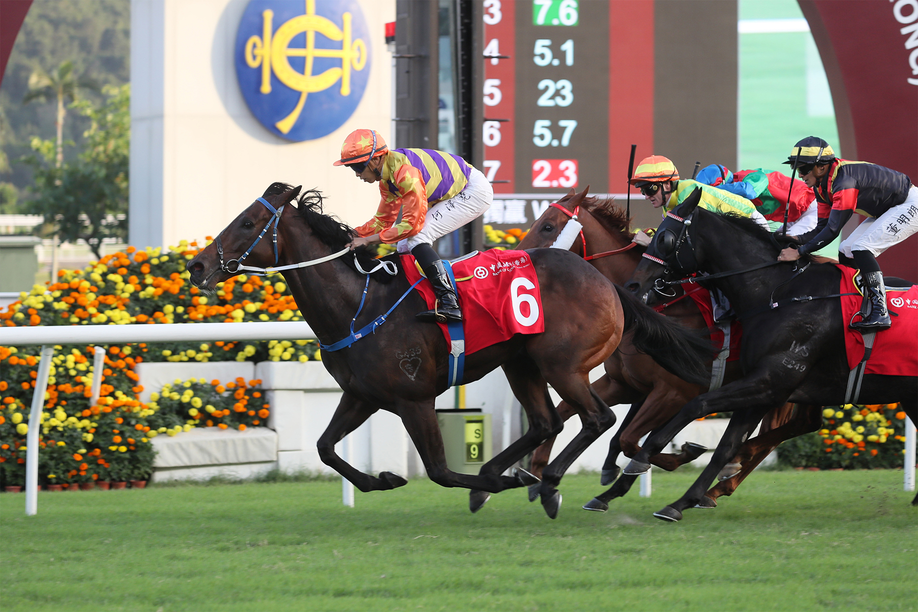 STRAIGHT ARRON STRAIGHT ARRON